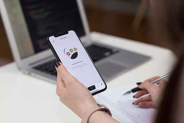 Портфолио